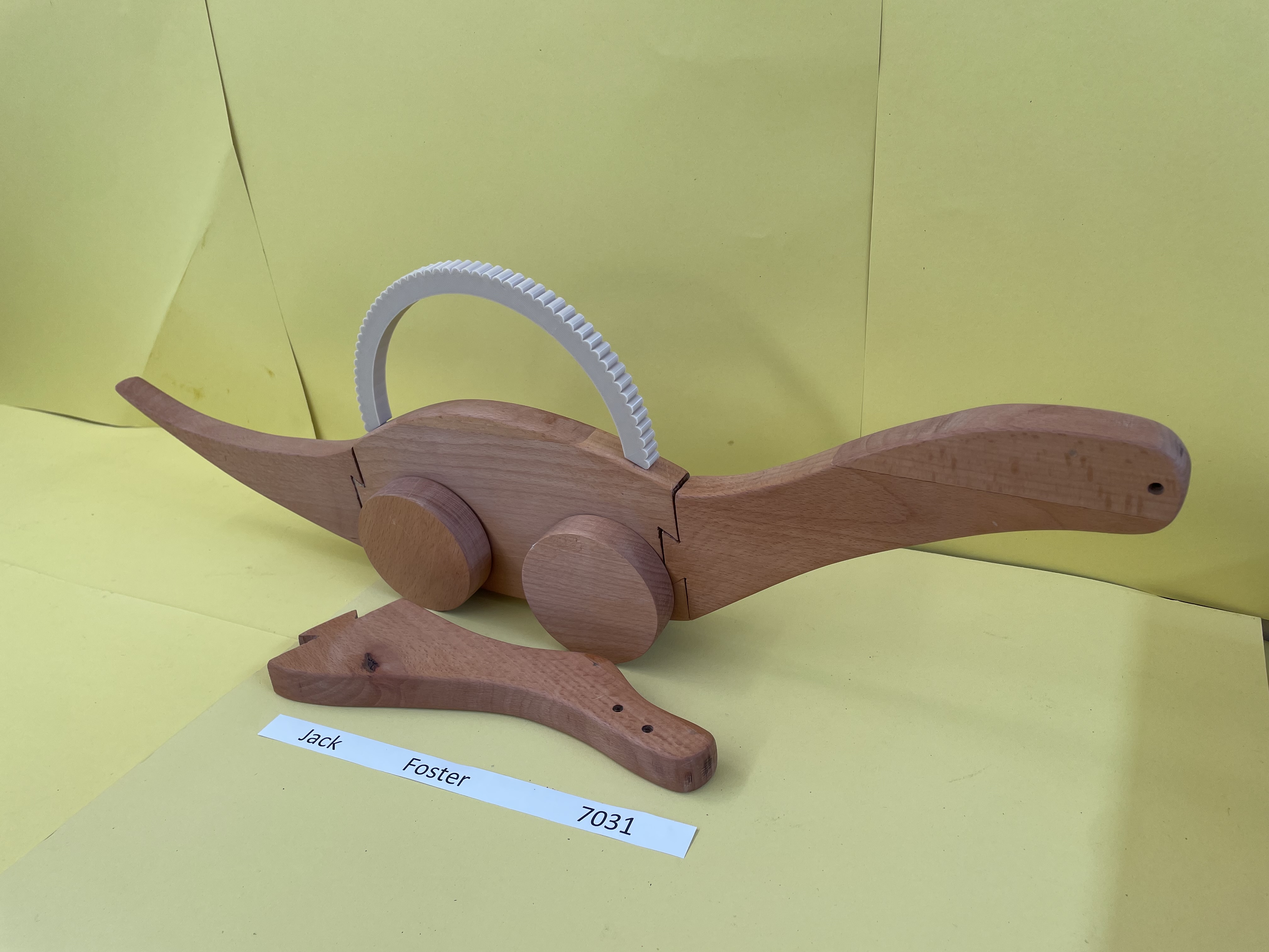 Sauropod configuration — long neck head attached